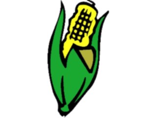 Sticker Custom Preview Image #065203 Food Drink Veggies Corn11