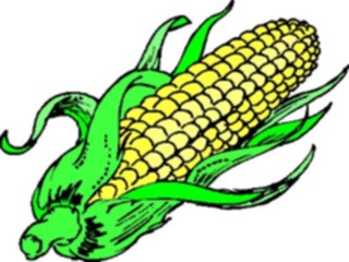 Sticker Custom Preview Image #065210 Food Drink Veggies Corn18