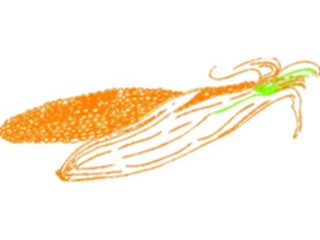 Sticker Custom Preview Image #065211 Food Drink Veggies Corn19