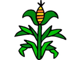 Sticker Custom Preview Image #065215 Food Drink Veggies Corn23