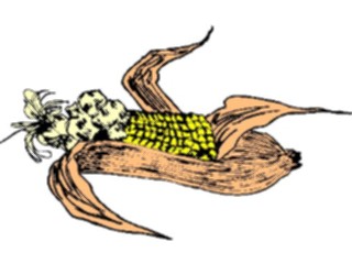 Sticker Custom Preview Image #065225 Food Drink Veggies Corn33