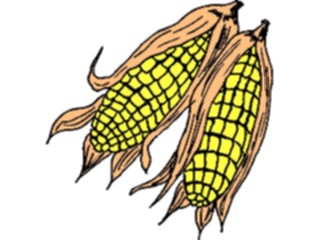 Sticker Custom Preview Image #065227 Food Drink Veggies Corn35