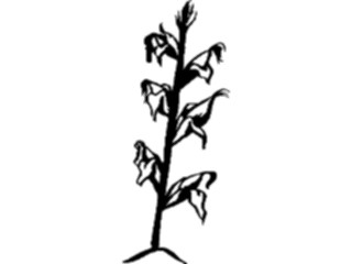 Sticker Custom Preview Image #065232 Food Drink Veggies Corn Stalk2