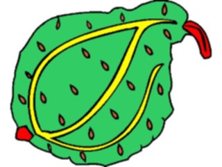 Sticker Custom Preview Image #065281 Food Drink Veggies Gourd