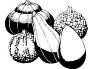 Sticker Custom Preview Image #065283 Food Drink Veggies Gourds Decorative