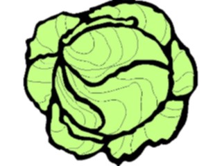 Sticker Custom Preview Image #065289 Food Drink Veggies Lettuce1