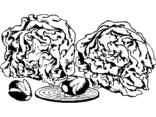 Sticker Custom Preview Image #065295 Food Drink Veggies Lettuce Boston Bib