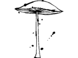 Sticker Custom Preview Image #065304 Food Drink Veggies Mushroom08