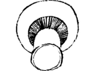 Sticker Custom Preview Image #065305 Food Drink Veggies Mushroom09