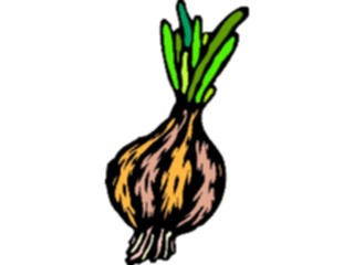 Sticker Custom Preview Image #065350 Food Drink Veggies Onion19