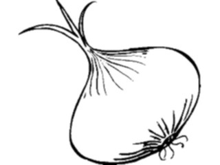 Sticker Custom Preview Image #065351 Food Drink Veggies Onion20