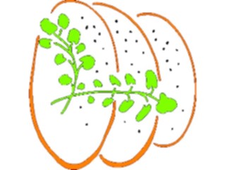 Sticker Custom Preview Image #065424 Food Drink Veggies Potatoes09