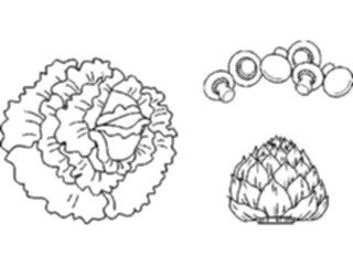 Sticker Custom Preview Image #065429 Food Drink Veggies Produce Collage1