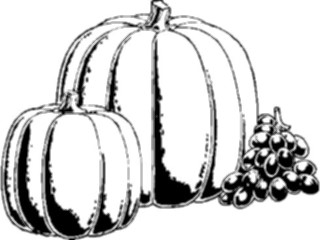 Sticker Custom Preview Image #065454 Food Drink Veggies Pumpkins1