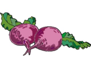 Sticker Custom Preview Image #065477 Food Drink Veggies Radishes6