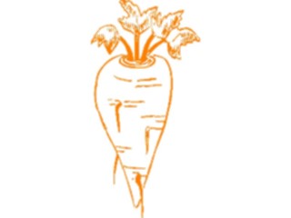 Sticker Custom Preview Image #065500 Food Drink Veggies Turnip4