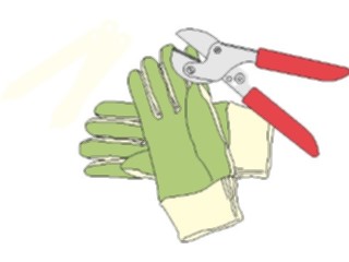 Sticker Custom Preview Image #066327 Gardening Gloves Clippers