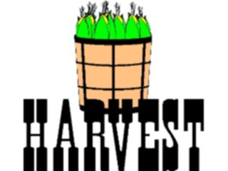 Sticker Custom Preview Image #066335 Gardening Harvest