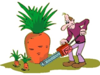 Sticker Custom Preview Image #066336 Gardening Harvesting Carrots