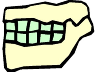 Sticker Custom Preview Image #068624 Health Medical Dental Jaw2