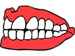 Sticker Custom Preview Image #068632 Health Medical Dental Teeth2