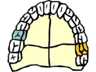 Sticker Custom Preview Image #068633 Health Medical Dental Teeth3