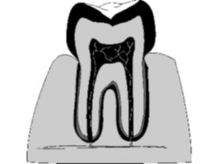 Sticker Custom Preview Image #068643 Health Medical Dental Tooth03