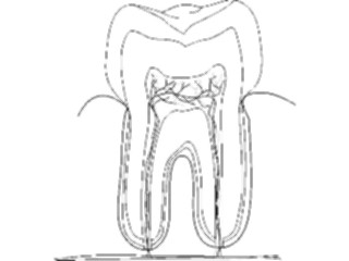 Sticker Custom Preview Image #068645 Health Medical Dental Tooth05