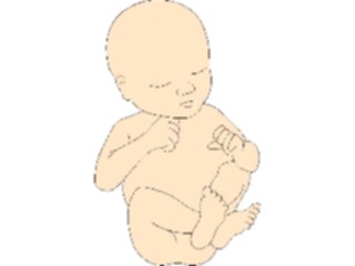 Sticker Custom Preview Image #069027 Health Medical Pregnancy Birth Infant1