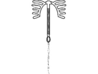 Sticker Custom Preview Image #069039 Health Medical Pregnancy Birth I U D4