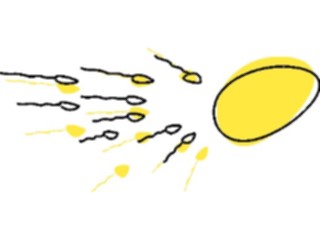 Sticker Custom Preview Image #069064 Health Medical Pregnancy Birth Sperm Egg1