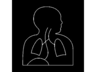 Sticker Custom Preview Image #069154 Health Medical Signs Symbols Broncho Esophagology