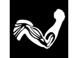 Sticker Custom Preview Image #069364 Health Medical Signs Symbols Orthopedics2