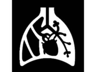 Sticker Custom Preview Image #069402 Health Medical Signs Symbols Pulmonary Physiology