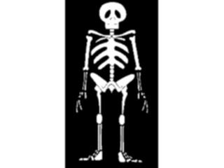 Sticker Custom Preview Image #073955 Holidays Halloween Skeleton05