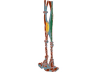 Sticker Custom Preview Image #078940 Household Miscellaneous Tassels2