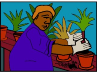 Sticker Custom Preview Image #079832 International Africa Occupations Horticulturist