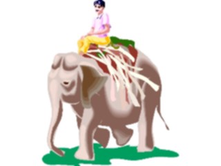 Sticker Custom Preview Image #080884 International People Images Indian Manon Elephant