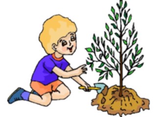 Sticker Custom Preview Image #082952 Kids Stuff Images Boy Planting Tree