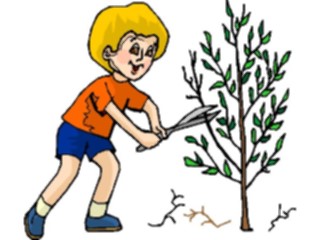 Sticker Custom Preview Image #082967 Kids Stuff Images Boy Pruning Tree