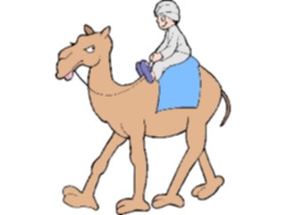 Sticker Custom Preview Image #082990 Kids Stuff Images Boy Riding Camel