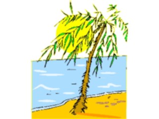 Sticker Custom Preview Image #085331 Landscapes Landscapes Palm Tree Island17