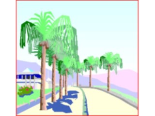 Sticker Custom Preview Image #085340 Landscapes Landscapes Palm Tree Path