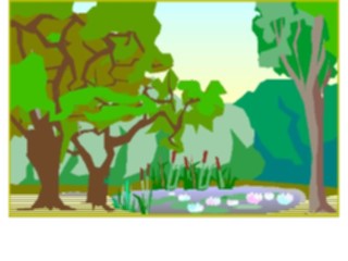 Sticker Custom Preview Image #085357 Landscapes Landscapes Pond6