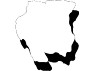 Sticker Custom Preview Image #086879 Maps Countries Surinam3