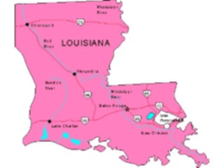 Sticker Custom Preview Image #087513 Maps U S A States Louisiana05