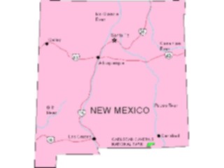 Sticker Custom Preview Image #087683 Maps U S A States New Mexico05