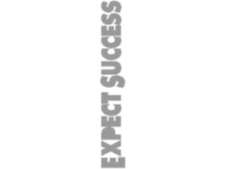 Sticker Custom Preview Image #090746 Motivational Expect Success