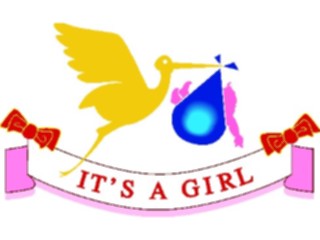 Sticker Custom Preview Image #093001 Occasions Births Itsa Girl4