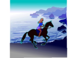 Sticker Custom Preview Image #095271 Outdoor Recreation Beach Water Horsebackon Beach